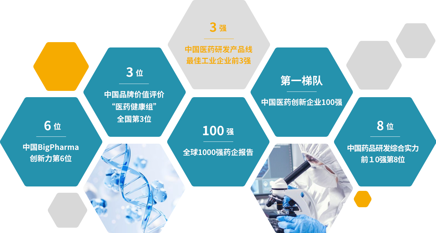 公司荣誉