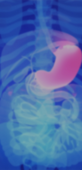 Metabolism